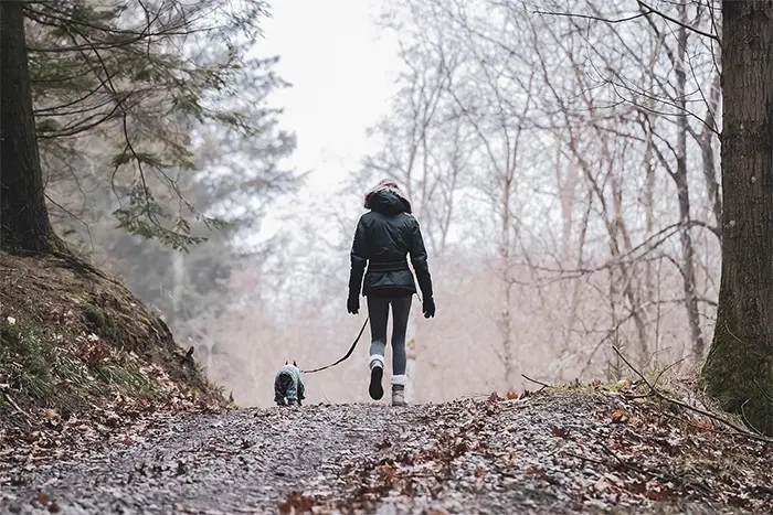 Frau spaziert mit Hund im Wald