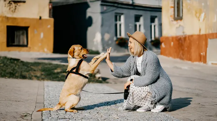 Eine Frau hält einen kleinen Hund in ihren Armen.