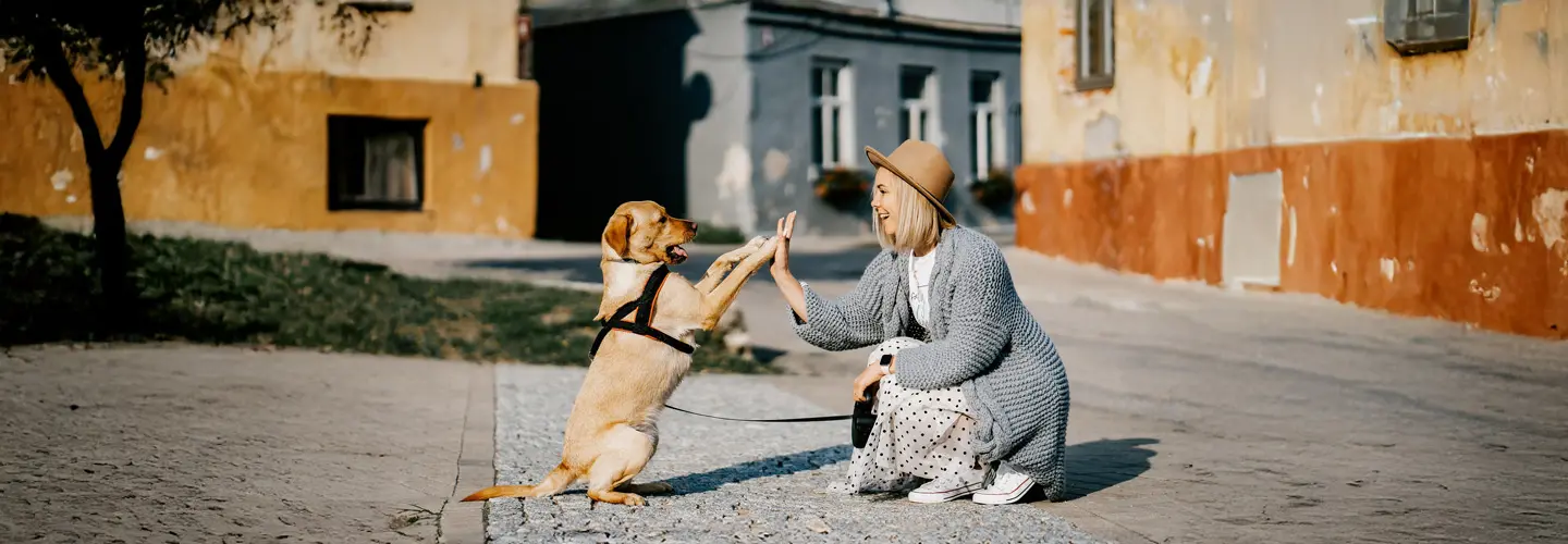 Eine Frau hält einen kleinen Hund in ihren Armen.