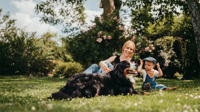 Frau mit Kind und Hund auf der Wiese