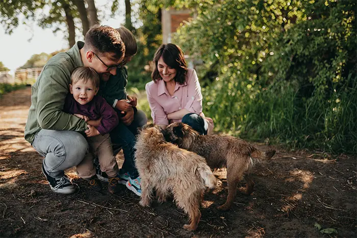 Mann, Frau und Kind mit ihren zwei Hunden draußen