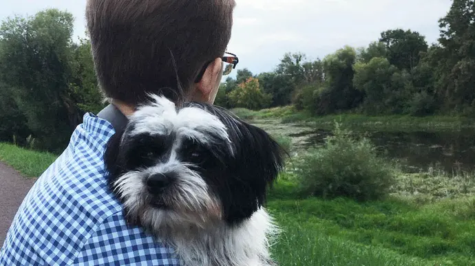 Ein Mann hält einen Hund auf dem Arm und schaut mit ihm auf eine Flusslandschaft.
