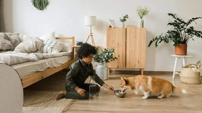 Kind füttert Hund im Zimmer.