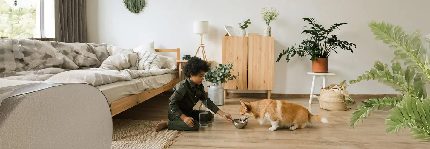 Kind füttert Hund im Zimmer.