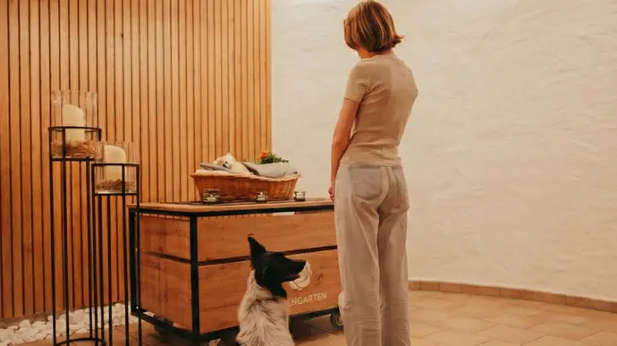 Frau verabschiedet sich von ihrem Hunde gemeinsam mit ihrem zweiten Hund.