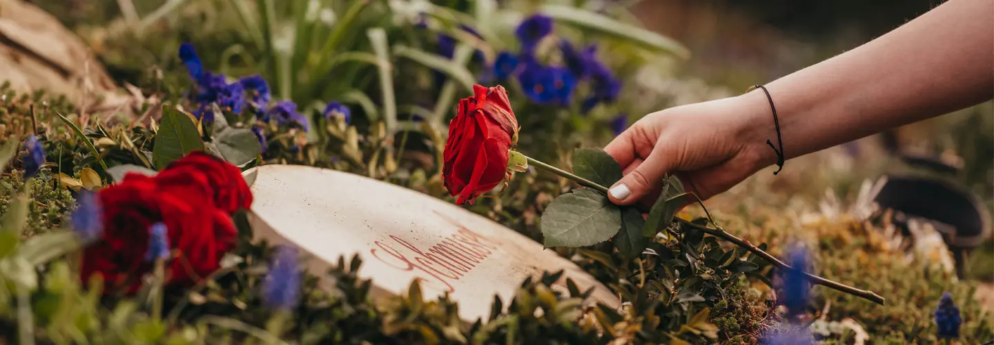 Frau legt Rose auf einem Urnengrab für ein Tier ab.