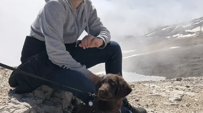 Junge mit Sonnenbrille sitzt auf Felsen mit seinem Labradorwelpen in einer bergigen Landschaft.