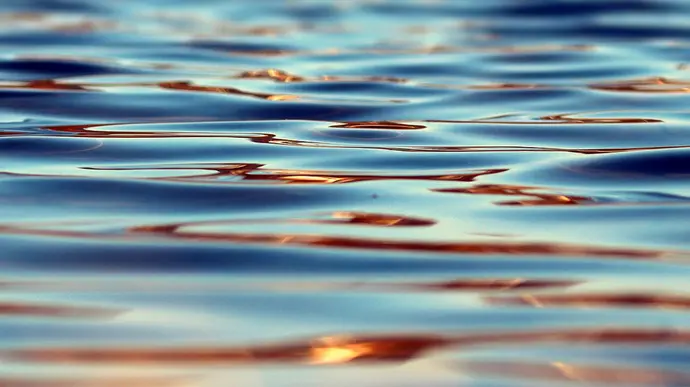 Wasserkremierung oder Aquamation
