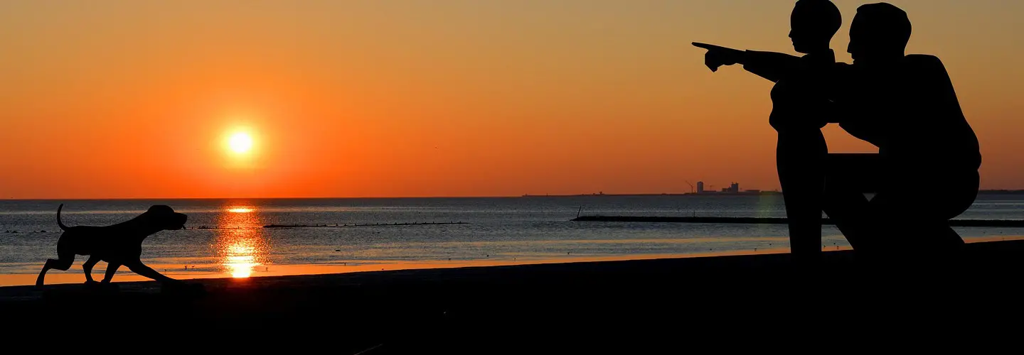 Vater und Sohn mit Hund schauen sich Sonnenuntergang an