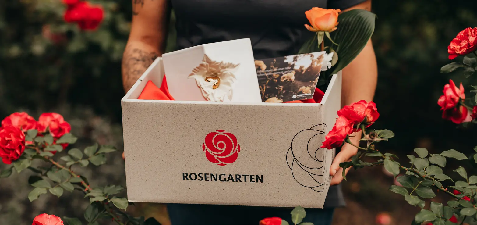 Eine Person hält eine ROSENGARTEN-Box mit einer Blume, Karte und rotem Stoff, umgeben von Rosen.