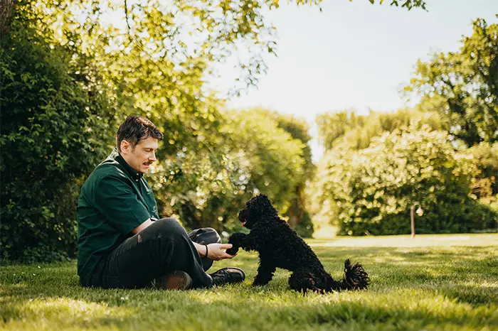 Mann mit Hund auf der Wiese 