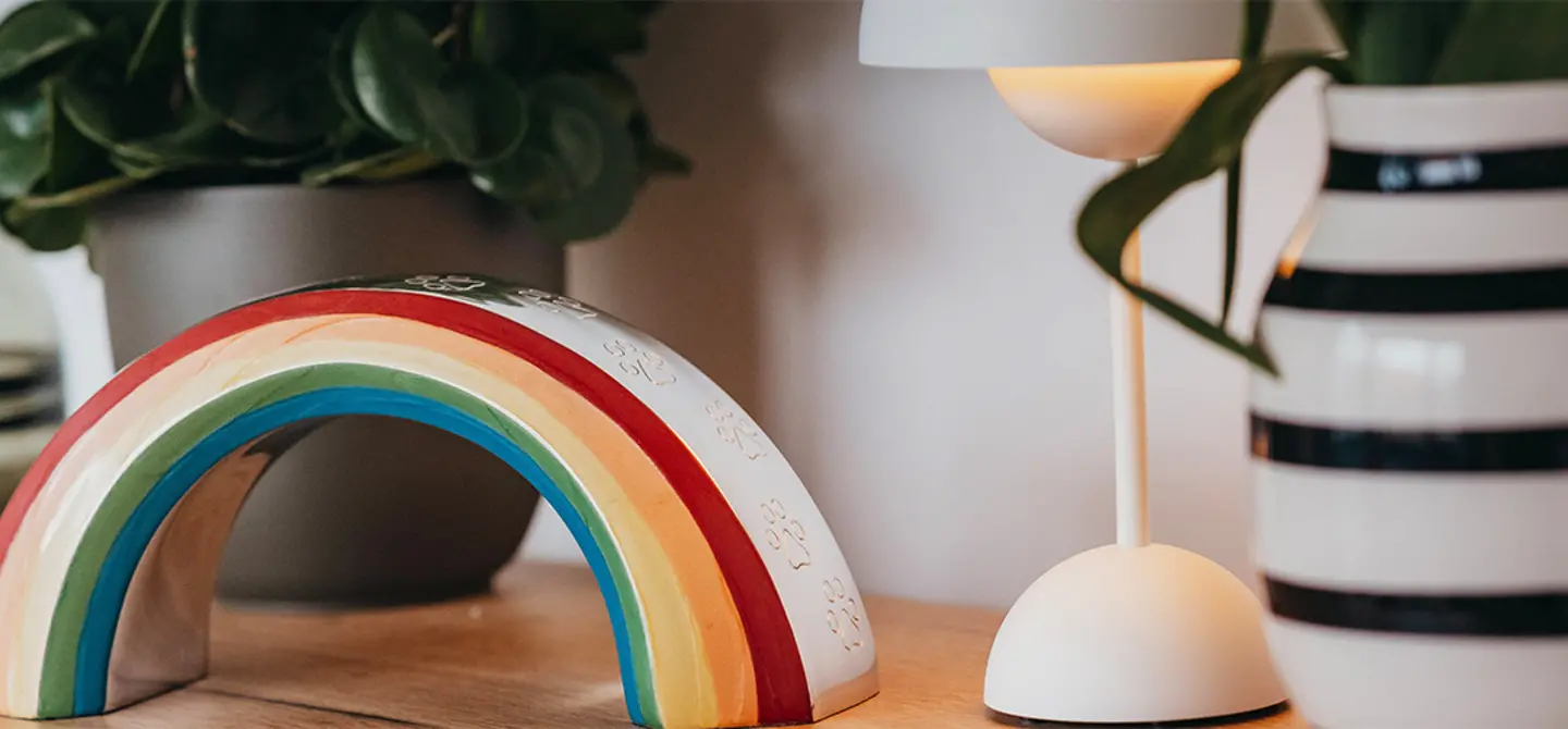 Farbenfrohe Regenbogen-Urne aus Keramik auf einer Holzoberfläche, dekorativ arrangiert mit Zimmerpflanzen und moderner Wohndekoration