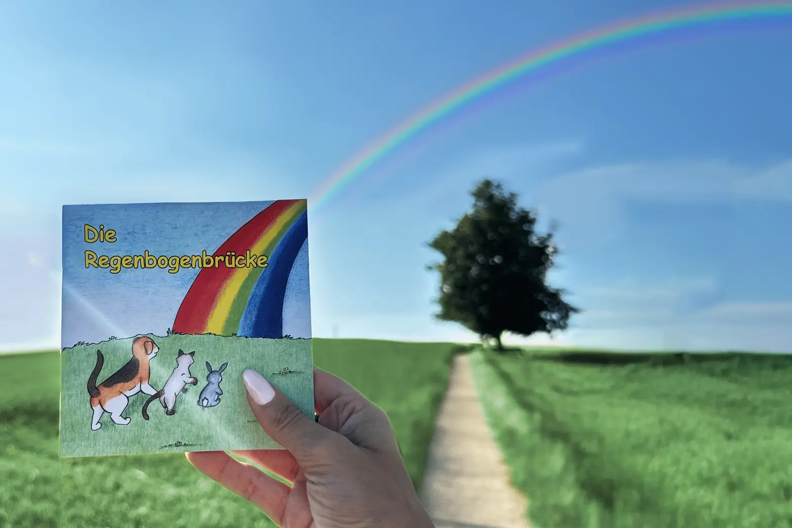 Ein liebevoll gestaltetes Kinderbüchlein mit dem Titel „Die Regenbogenbrücke“, das Tiere auf ihrem Weg über einen bunten Regenbogen zeigt und Trost sowie Hoffnung vermittelt, gehalten vor einer grünen Wiesenlandschaft mit echtem Regenbogen am Himmel – im ROSENGARTEN-Tierkrematorium