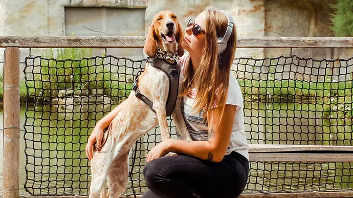 Ein Hund mit einem freundlichen Lächeln steht auf den Hinterbeinen und ist in einer engen Umarmung mit einer jungen Frau, die ihm gegenüber kniet.