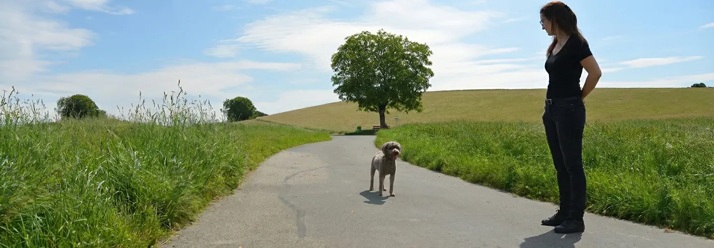 Frau und brauner Hund stehen auf einem sonnigen Feldweg im Grünen