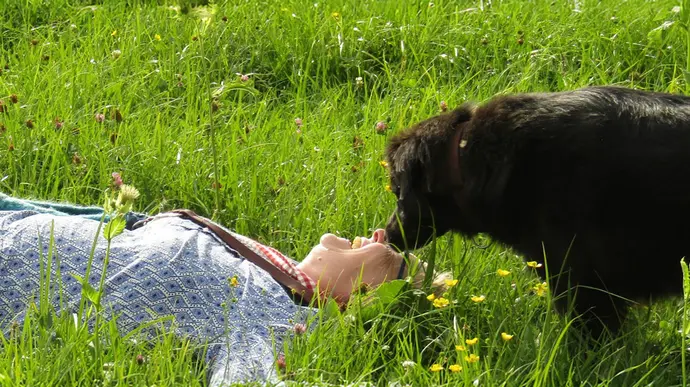 Frau spielt mit Hund auf grüner Wiese
