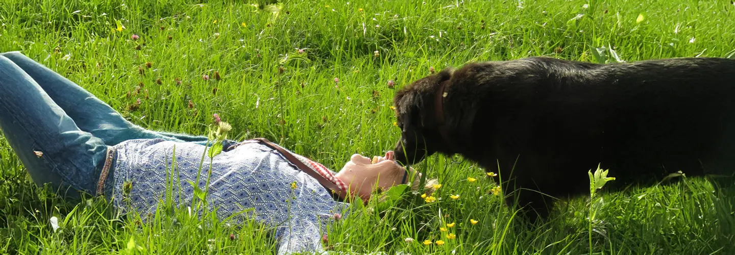 Frau spielt mit Hund auf grüner Wiese