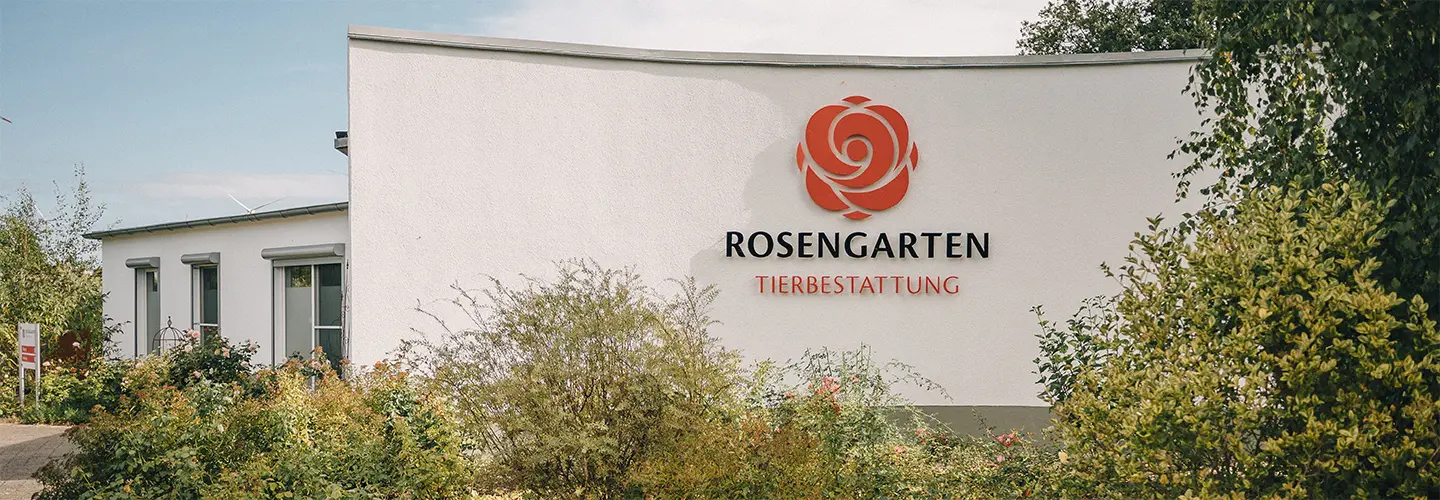 Das Bild zeigt eine ruhige Umgebung mit Rosen und einem modernen Gebäude im Hintergrund