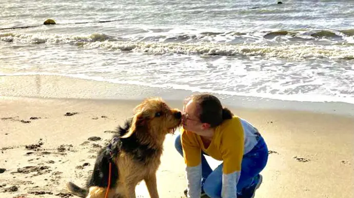 Eine Person kniet am Strand neben einem Hund und die beiden schauen sich an. Im Hintergrund sind Windräder und das Meer zu sehen.